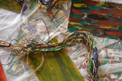 Hofstetter_Pos_Art_Africa_001