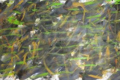 Hofstetter_Pos_Art_Klimaschutz_001
